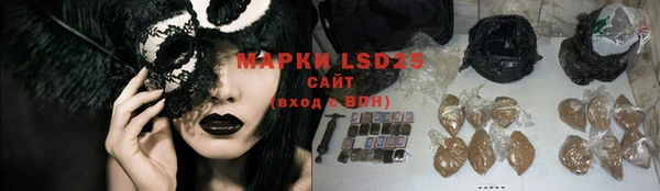 apvp Кукмор