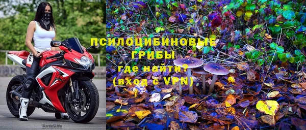 молекула духа Володарск