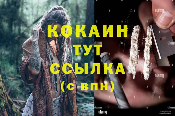 молекула духа Володарск